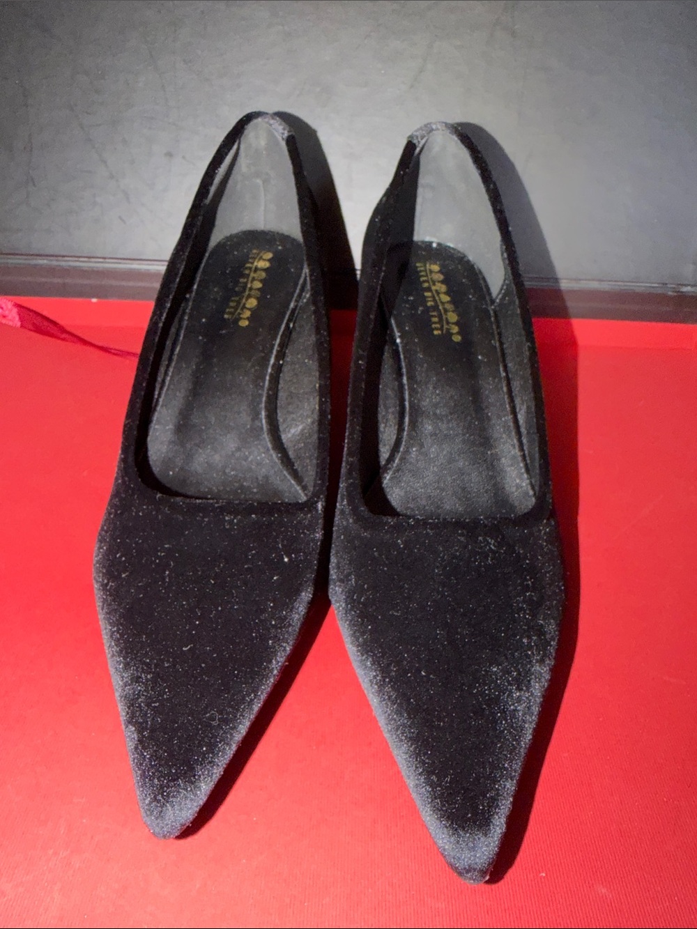 Seven Bug Tree Black Velvet Pointed Block Heel Pumps